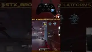 Catch these hands | #stx_broch on #Twitch #broch #cdl #dashypistol