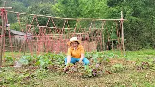 Disabled girl gardening and cooking | Daily life of disabled girl