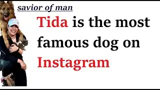 1 Hot In 2023 train A smart Dog asmr comedy story to the video 2 Tiktok on tv music song en la y de