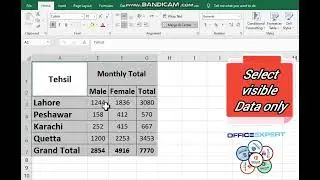 Copy and Paste only visible data