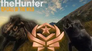 BOAR GRINDING LIVE!!! THE MAP IS HOT! 394 KILLS IN! | The Hunter Call of the Wild