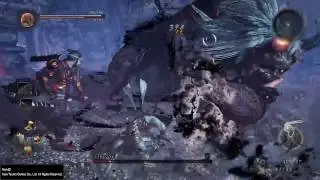 Onyroki (Greater Demon Hunting) - Nioh Boss Battle