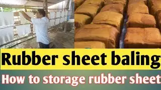 rubber sheet baling  rubber sheet bundle  rubber sheet storage
