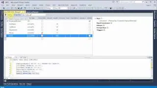 Create Employee Database Table Visual Studio 2013