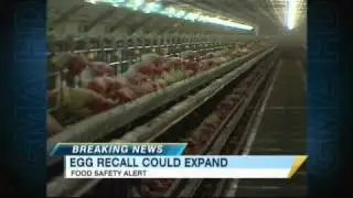 FDA: Egg Contamination Source Unclear