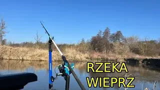 Pierwsze przetarcie na rzece - Rzeka Wieprz.