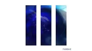 Fishbird - All of This