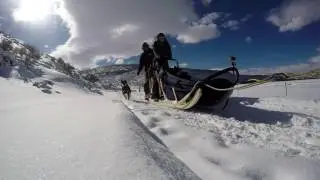 Park City First Timers: Dog Sledding