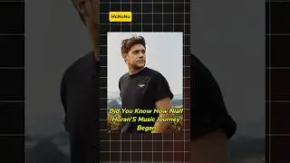 How #NiallHoran Taught Himself Guitar 🎸 | Inspiring Fact 🤯 #Shorts #musicfacts #exploremusic
