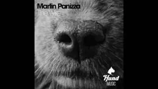 Martin Panizza  The Wire
