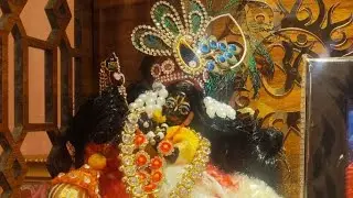 Chilli vlogs  is live hello everyone AAP Sab Ko Makar Sankranti ki dher sari shubhkamnaen