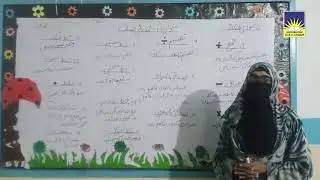 Pre-9th| ابتدائی حساب | Winter Vacation's Work I Das Mailsi 