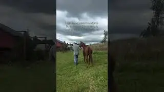 The Death of the Family Farm 🚜💔 #farming #growth #shortsvideo
