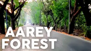 Aarey Forest Tour | Travel Vlog | Aarey Colony | Mumbai's Jungle | #MotoVlog | Raasta On Wheels