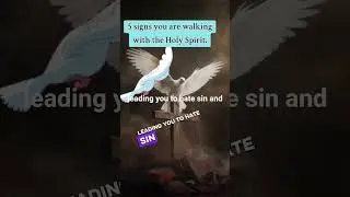 .Five signs you are walking with the Holy Spirit..