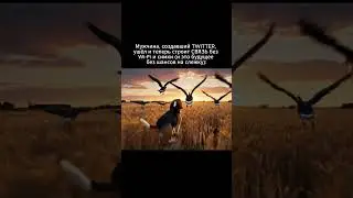 Мужчина создавший Твитер заявил... #технологии
