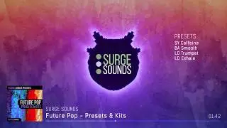 Future Pop | 5 Construction Kits, 128 Serum Presets & 3.0+ GBs