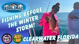 Offshore Reef Fishing LIVE January 30th, 2026