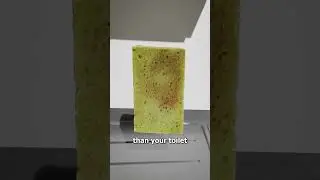 Почему не стоит использовать губку😷
