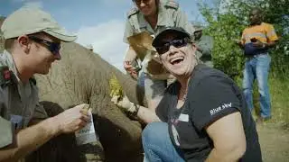 Elephant Collaring with Elephants Alive (2) 2020