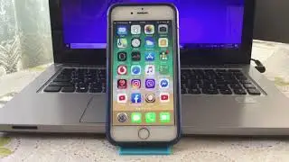 HOW TO DOWNGRADE APPS ON APP STORE JAILBROKEN!!  IOS 14,13,12