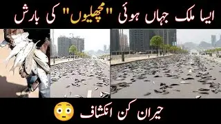Fish rain in Australia the fact | Shocking News in Australia