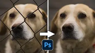 Remove any Fence like a Professional in 