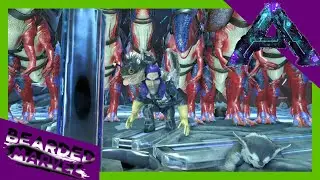 Taking On Rockwell 2nd Time! Solo Rockwell Beta Boss Fight! (E73 Aberration)