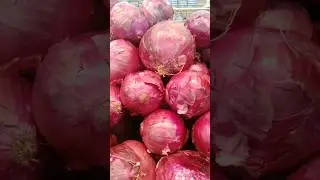 BENEF&Iacute;CIOS DA CEBOLA ROXA