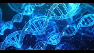 Leveraging machine learning to further advance healthcare with CSAIL's Irene Chen