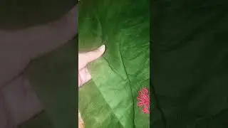 beautiful green embroidered pure wool shawl