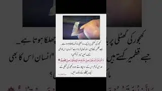 Date palm || short video#reelsvideo #السعودية #اطفال #quotes #حدیث @Truthislam057