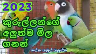 price of brids in sri lanka 2024 | bird price in sri lanka 2024 | කුරුල්ලන්ගේ මිල ගනන් | brid price