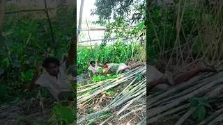 Tu Friends Funny Video 🤣 #reels #arallfunny #Amazing #funny #comedy #training #short #viral #video