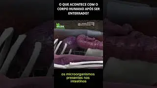 O QUE ACONTECE COM O CORPO AP&Oacute;S SER ENTERRADO? #shorts