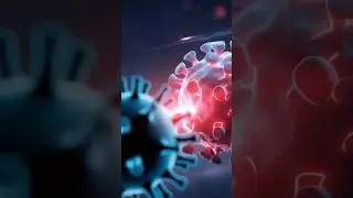 Вирус Эбола связан с рекой! #конго #короткоевидео #вирусноевидео #короткиевидео #вирус #образование