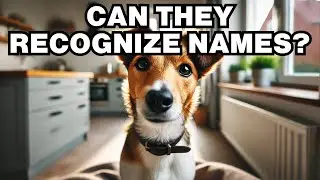 Can Dogs Recognize Their Names? Explained