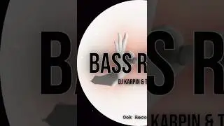 Dj Karpin & Twook - Bass Relay (Original Mix) @DjKarpin  #twookmusic  #ookrecords