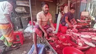 Giant Kingfish Cutting in the Bazaar | 123 Dance Media