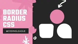 Border Radius CSS Shapes | Coding League
