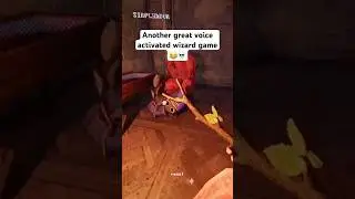 who doesn&rsquo;t love a voice activated wizard game 😂#yapyap #gaming #streamer