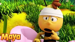 Can Willy Remember Maya? 🤕 Maya The Bee 🐝  Full Episodes | Cartoons and Videos For Kids