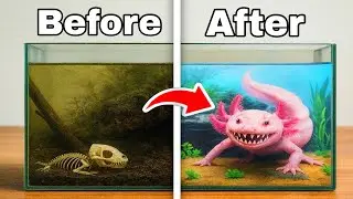 I Transformed an Abandoned Axolotl&rsquo;s Home!
