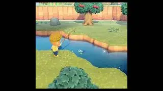 first time loach! 🎣🐟 #shorts #animalcrossing