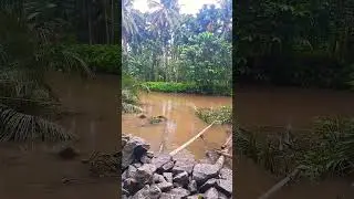 #shorts#video# video #letas #virel #thamil #songs #virel #shorts##₹