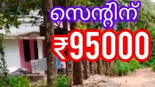 AMBALLUR🌹ഓണറെ നേരിട്ട് വിളിക്കാം 🌹കുറഞ്ഞ വിലയിൽ സ്ഥലം വിൽപ്പനക്ക് in thrissur