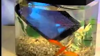 Waterproof electronics?