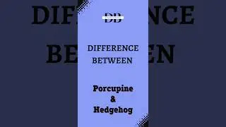 Difference Between Porcupine and Hedgehog | Porcupine vs Hedgehog: Who Wins the Prickly Battle?