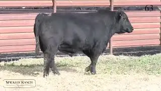 Spickler Ranch North Lot 63