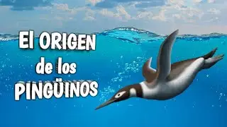 🐧¿Cúando y dónde surgieron los PINGÜINOS? 🐧